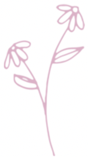 Botanical illustration